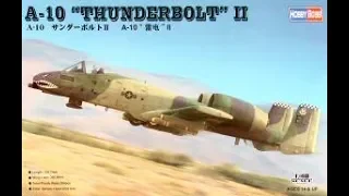 Hobby Boss A10 Thunderbolt II Inbox Review