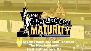 2019 Hambletonian Maturity - Crystal Fashion #Hambo19