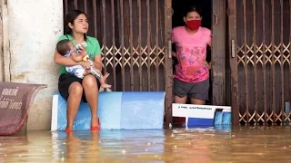 Thailand | Flood kills 25, damages overland routes