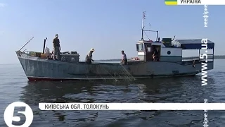 Іхтіологи досліджують запаси риби в Київському та Канівському водосховищах