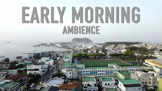 Early Morning Ambience (Seogwipo, Jeju Island) | City and Bird Sounds | 4K