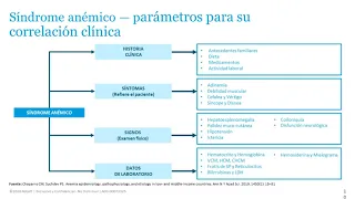 DESÓRDENES DEL LINAJE ERITROIDE: ANEMIAS MICROCÍTICAS DE ALTA PREVALENCIA EN LA POBLACIÓN