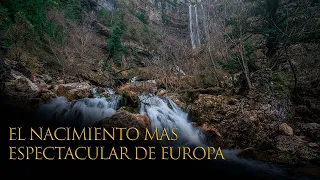 RIO MUNDO || El nacimiento mas INCREIBLE que he visto