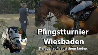 Wiesbadener Pfingstturnier. Schlaufzügel, Missbrauch und Tierleid