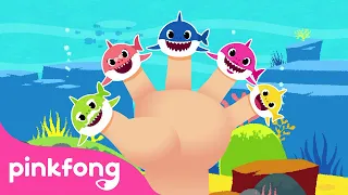 Família Tubarão de Dedos | Cante junto com o Bebê Tubarão | Pinkfong Canções para Crianças
