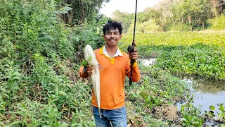 I Catch a giant snakehead fish with Baitcasting reel using eel bait