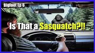 Scary Encounter on a Sunday Drive: Did We Have a Bigfoot Sighting?  Bigfoot Ep. 6 True Narrations