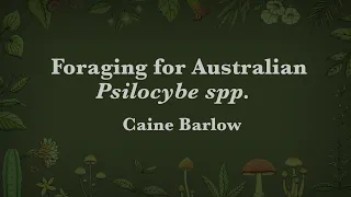 Caine Barlow - Foraging for Australian Psilocybe spp.