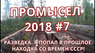 Промысел 2018. Одиночная разведка таежной территории. Находка века. Пурга загоняет соболя.