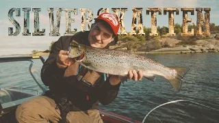 The Silver Treasure - Sea Trout