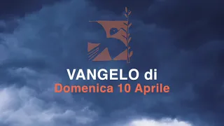 Domenica 10 aprile, Le Palme, commento al vangelo di Luigi Verdi