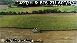 New Holland Vorführung FR780 beim Maishäckseln! 149T/H & Bis zu 60T/HA Großeinsatz Maisernte - Silo