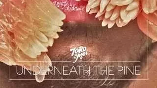 Toro y Moi  - Underneath The Pine (Full Album)