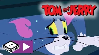 Tom & Jerry | Pysekatt | Boomerang Norge