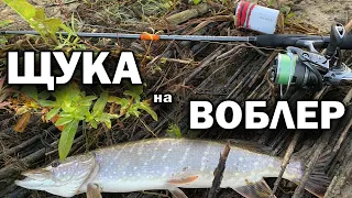 Рыбалка на ОКЕ с берега. Ловля ЩУКИ НА ВОБЛЕР