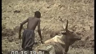 Drought | Famine | Senegal | This Week | 1973