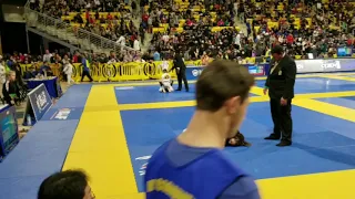 Tylie Peralta IBJJF PAN KIDS CHAMPION 2019