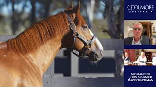 Coolmore Australia Stallion Parade 2020