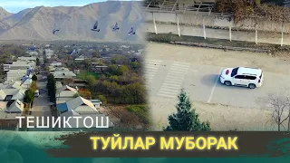 ТУЙ ТЕШИКТОШ - ( Туйлардан парча видеолар )