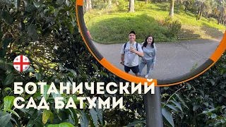 Ботанический сад Батуми. Batumi botanical garden. Georgia