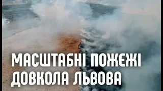 Масштабні пожежі навколо Львова. Галичани палят траву. Відео з дрона