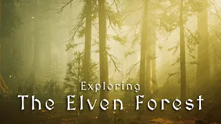 Fantasy Music & Ambience | Adventure Seekers and Travelers! 🌲🌲 The Elven Forest Awaits! 🧝