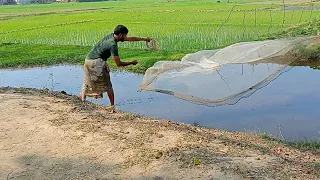 ছোট ছোট মাছে ভিটামিনের ভরপুর