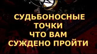 СУДЬБОНОСНЫЕ ТОЧКИ ЧТО ВАМ СУЖДЕНО ПРОЙТИ #таролюбви#таросегодня#трендытаро#