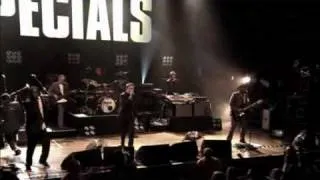 The Specials Live !!!!!   Do The Dog