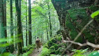 33 km durch den Schwarzwald nach Freiburg + Übernachtung