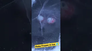 Found a Rake Trapped in Ice #frozeninice #rake #undeice