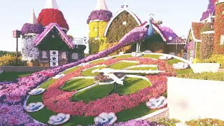 Цветочные часы в парке цветов в Дубае, ОАЭ (Dubai Miracle Garden)