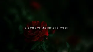 a playlist to cry to about a court of thorns and roses