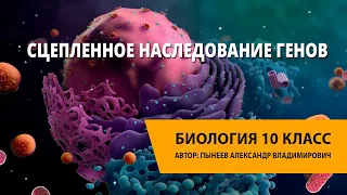 Сцепленное наследование генов