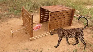 Unique Creative Underground Quick Tiger Trap Make From Bamboo Cage