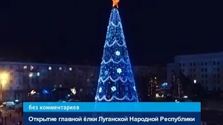 Открытие главной ёлки в Луганске ЛНР  25 декабря 2018 год