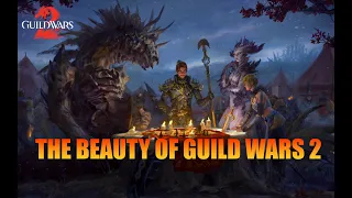 The beauty of Guild Wars 2