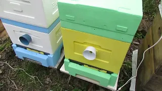 холодная весна на пасеке 2022 года - какие работы можно сделать с пчелами если весна холодная - 1