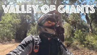 The Valley Of Giants | Australia //S3-E2