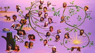 Mateo: Este es el árbol genealógico de Jesucristo | Personajes Bíblicos