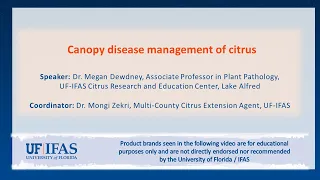 Canopy disease management of citrus