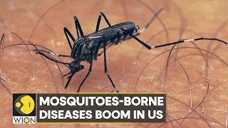 WION Climate Tracker | Mosquitoes-borne diseases boom in US, climate change aids population | WION