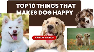 🐾TOP 10 Things That Make Dogs FURRY Happy:🐕💖 CANINE BLISS🐾