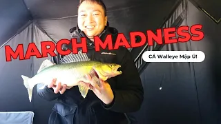March Madness | Tháng 3 Cá Ăn Mạnh Như Lời Đồn?! | Câu Cá Mùa Đông Ở Canada.