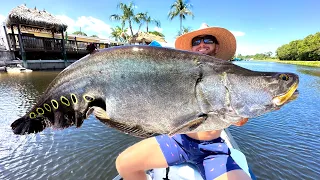 This INSANELY INVASIVE Fish Cost Me $6000! (Florida Clown Knife Fishing)