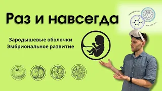 Эмбриогенез. Зародышевые оболочки.