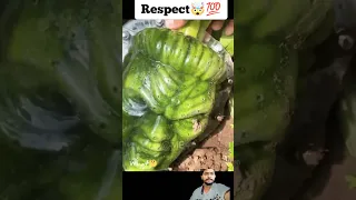 FACE PUMPKIN 🐸🔥🤯😱💯 #shorts #respect #mrrespect #viral #reaction #amzingrespect #shortvideo