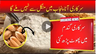 Wheat l Punjab flour millers announce strike l Bashir Sandhila