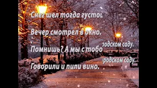 В городском саду.Караоке.Автор Михаил Круг. (кавер) исполняет ВАДИМ Соколов