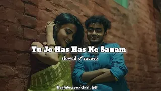 Tu Jo Has Has Ke Sanam | slowed x reverb | Raja Bhaiya 2003 | Udit Narayan, Govinda ||Ankit lofi